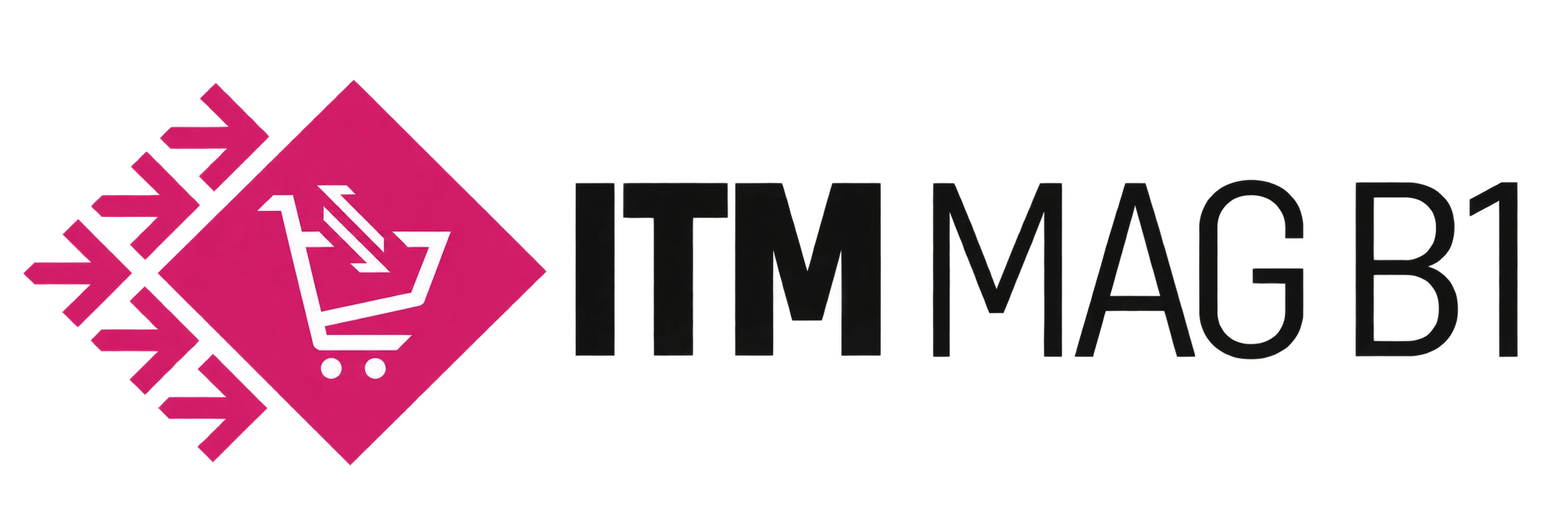 ITM MAGB1 E-Commerce Connector